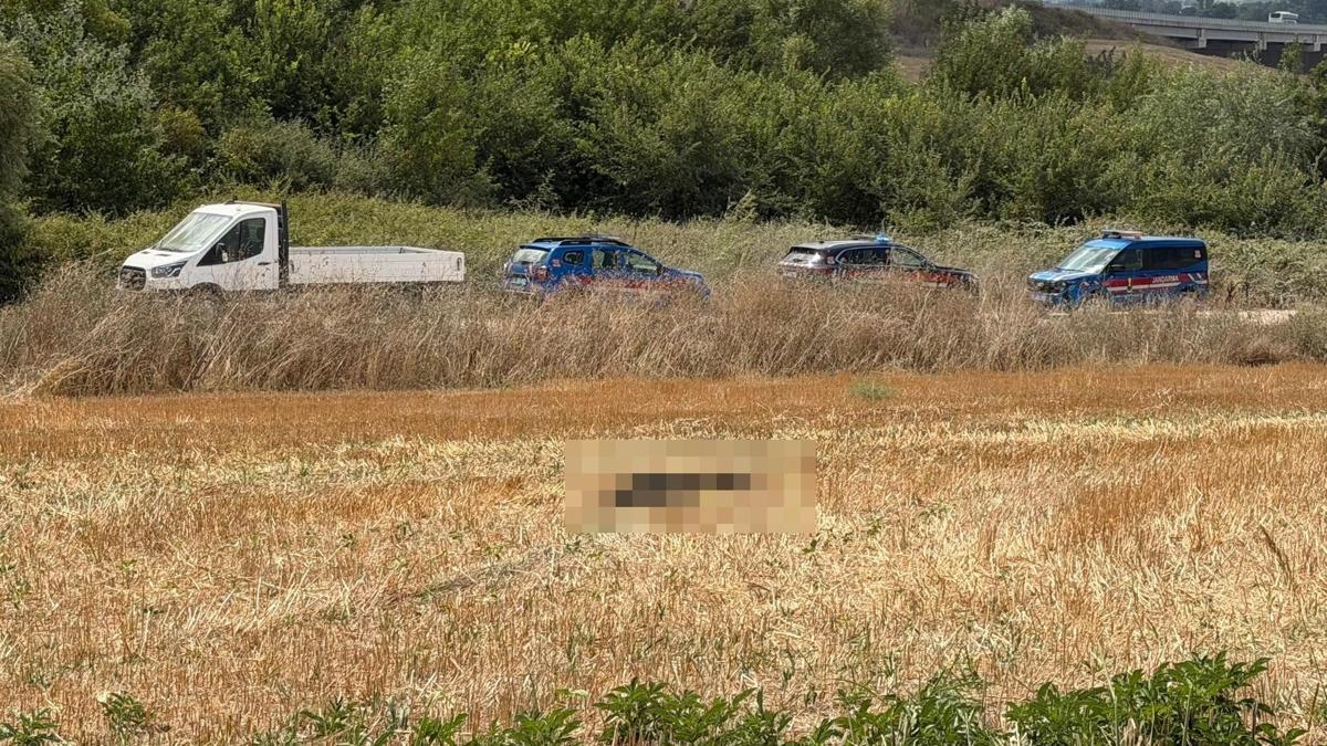 Kayıp olarak 18 gündür aranan adam tarlada ölü bulundu