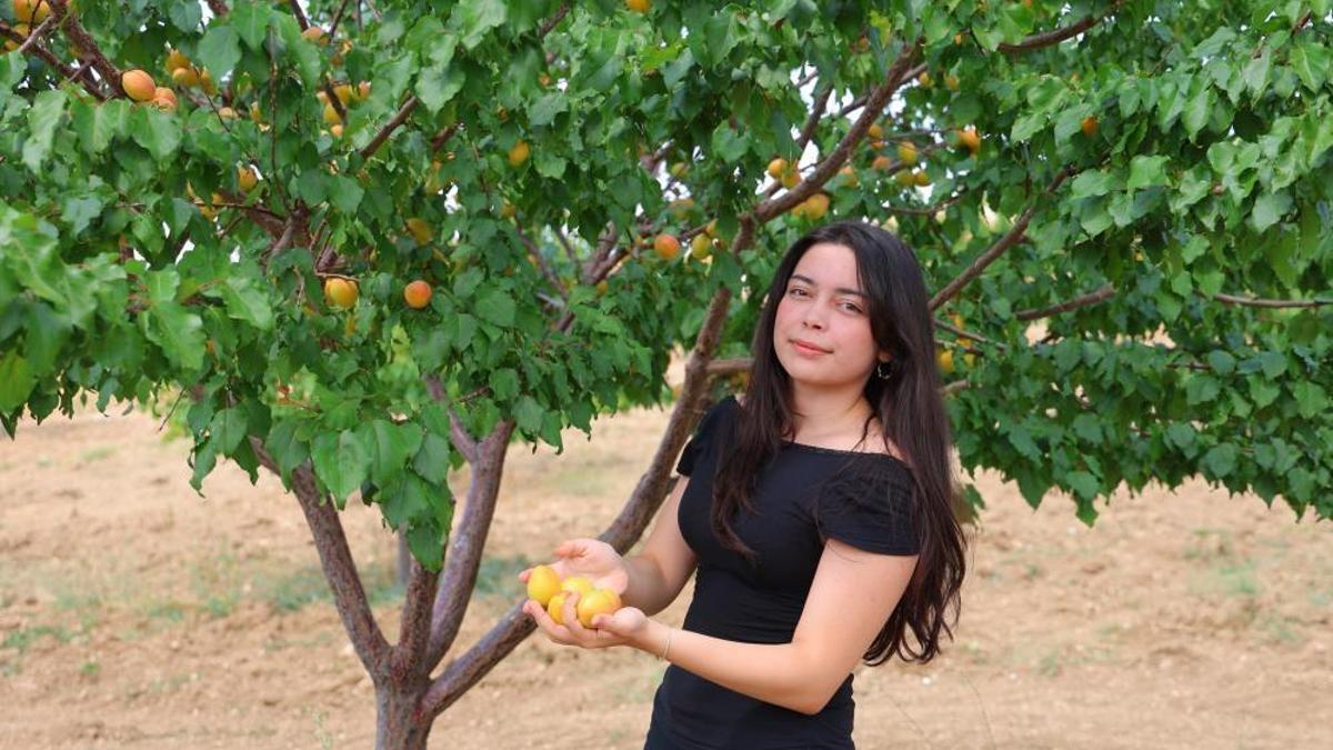 Susuz bölgede 500 kayısı ağacı yetiştirip verim patlaması yaşadılar, proje Türkiye birinciliği getirdi