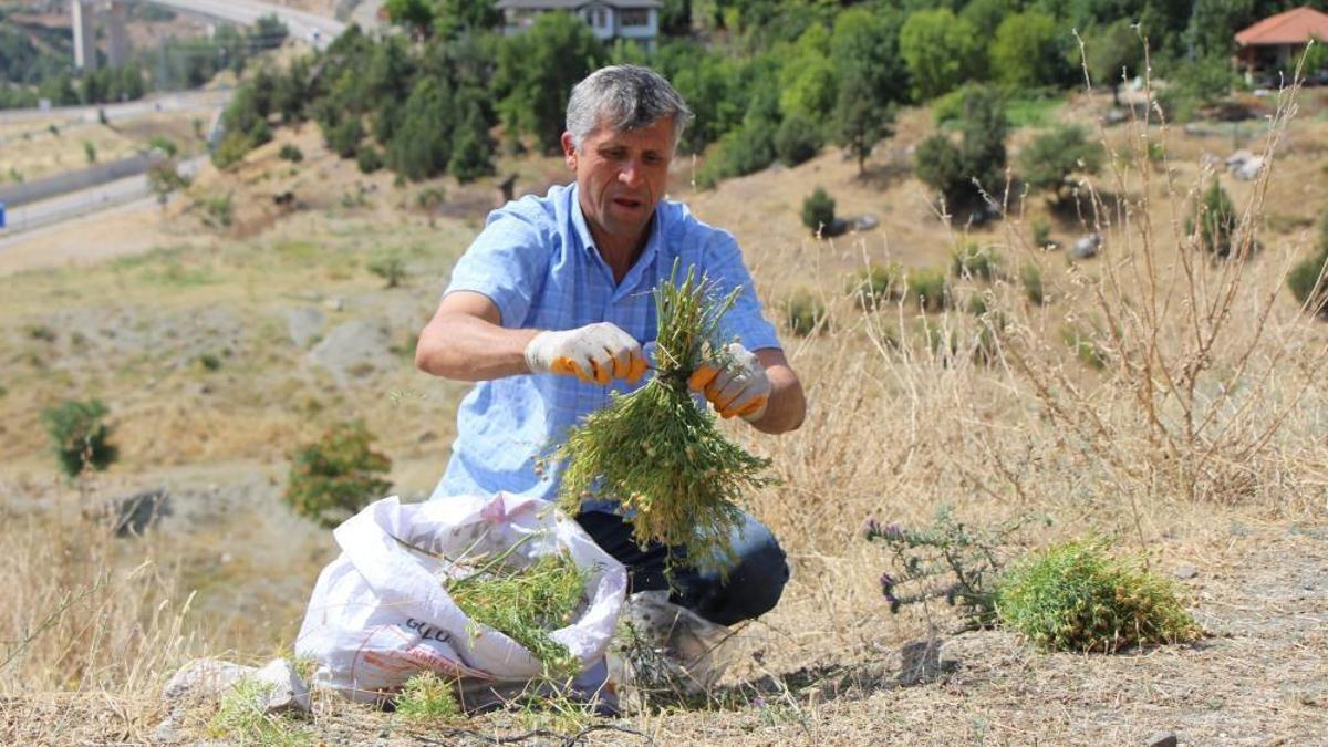 Nazardan koruduğuna inanılıyor, 150 liradan satılıyor