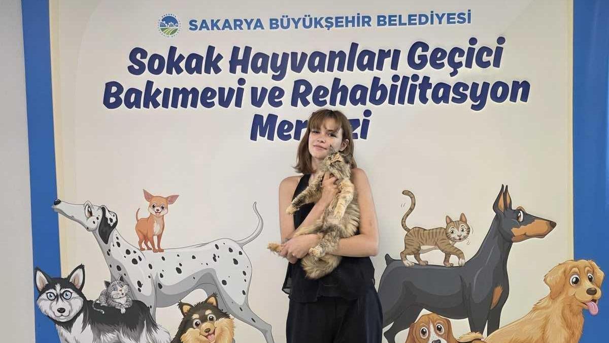 Sakarya'da 700 sahipsiz hayvan yeni yuvasına kavuşturuldu
