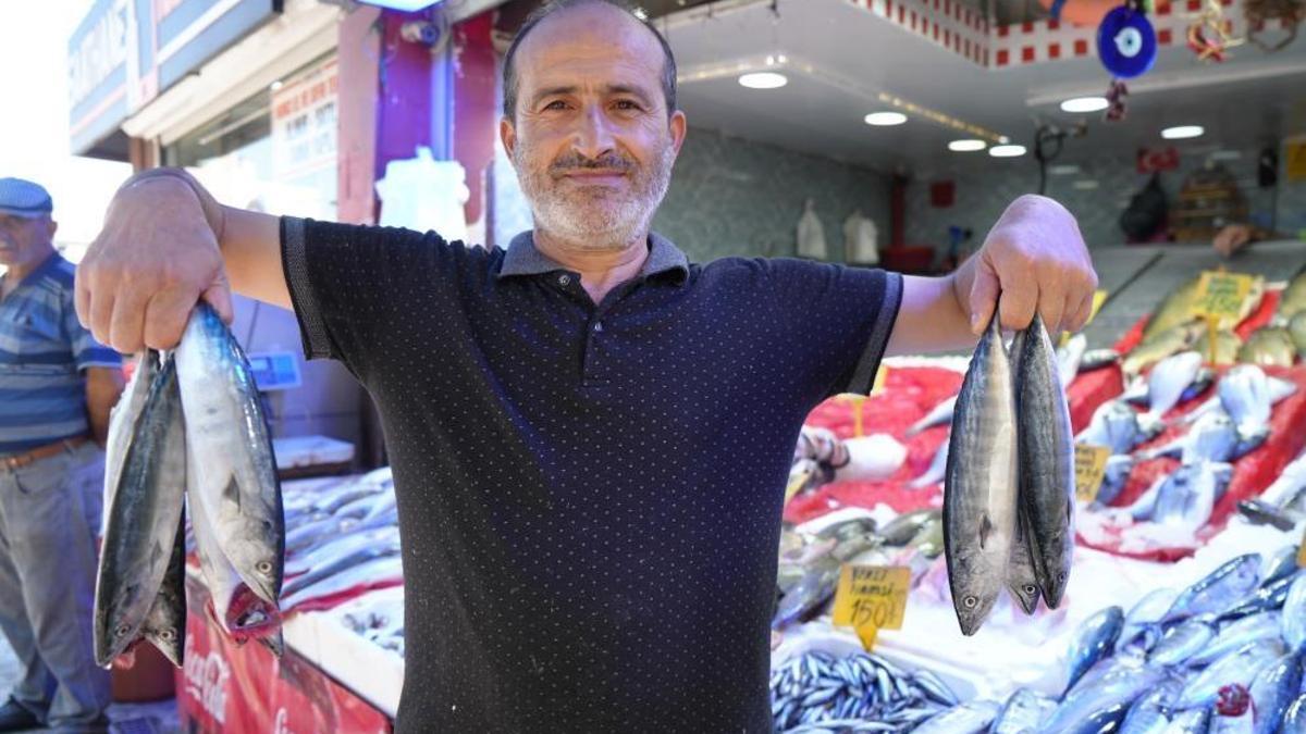 Yıllardır böylesi görülmedi! Karadeniz'den palamut fışkırıyor