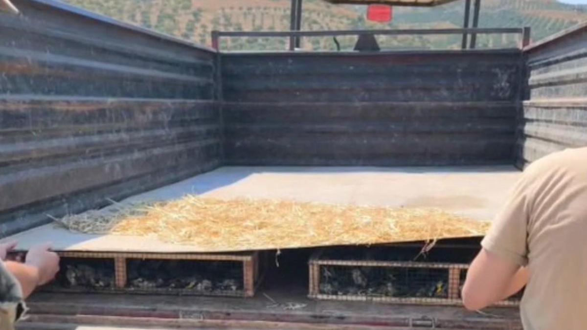 Traktörün römorkunda 2 bin 114 saka ele geçirildi; sürücüye 19,8 milyon TL ceza kesildi