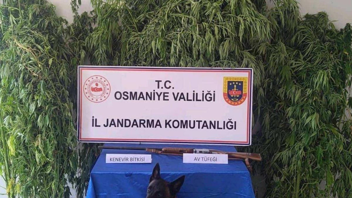 Osmaniye'de 128 şüpheli yakalandı