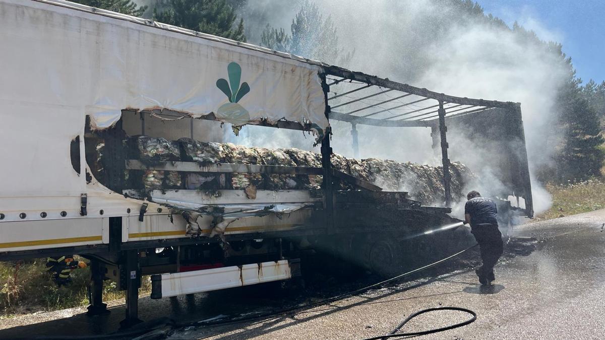 Şeker yüklü TIR’ın dorsesinde çıkan yangın ağaçlara sıçradı