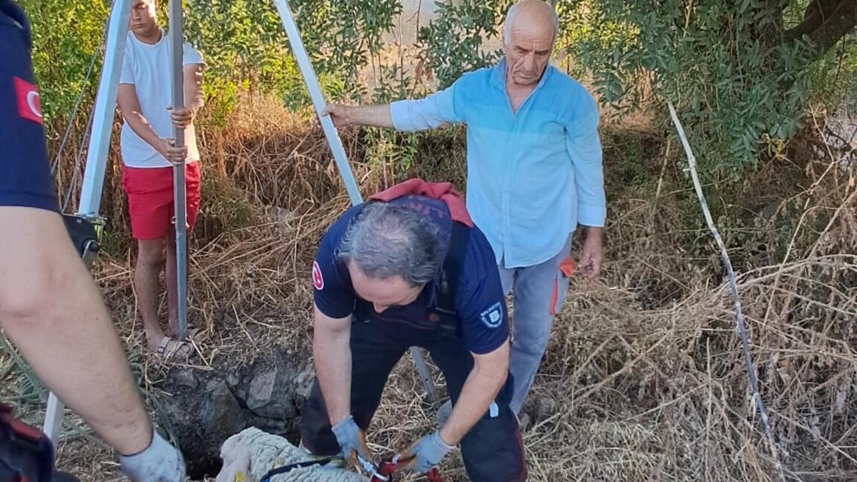 Balıkesir'de kuyuya düşen koyunu itfaiye kurtardı