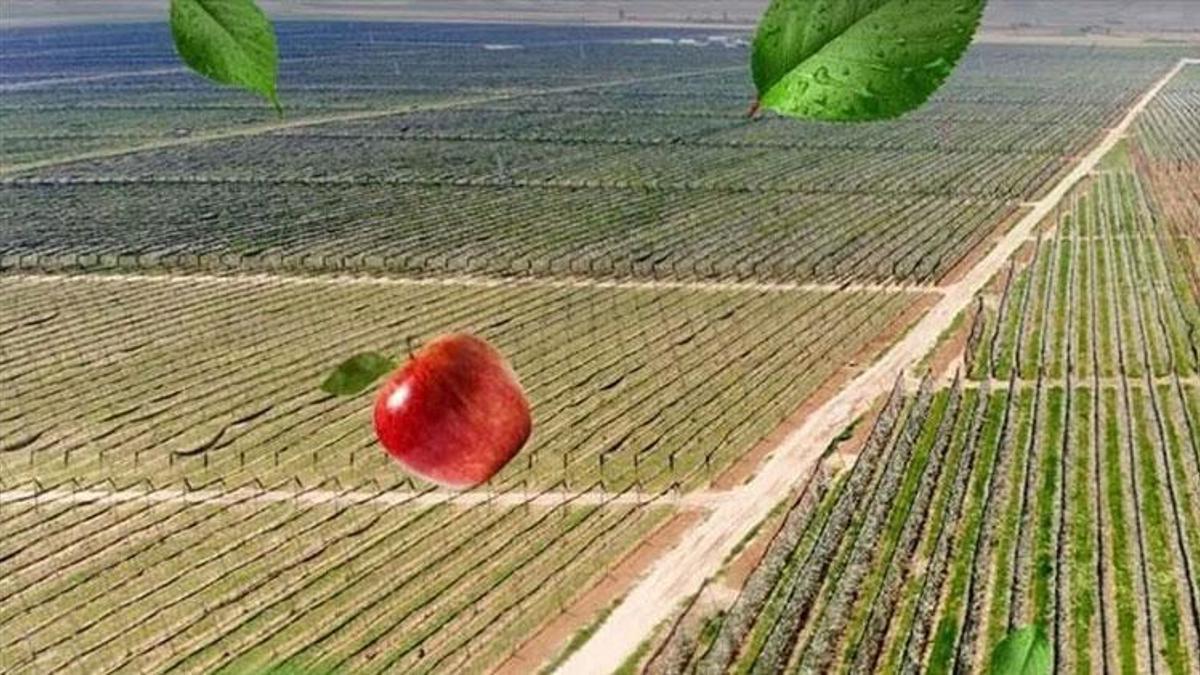 Denizli’nin en iyisi Çivril’de belirleniyor! İlçede ‘En İyi Elma Üreticisi’ yarışması başlıyor