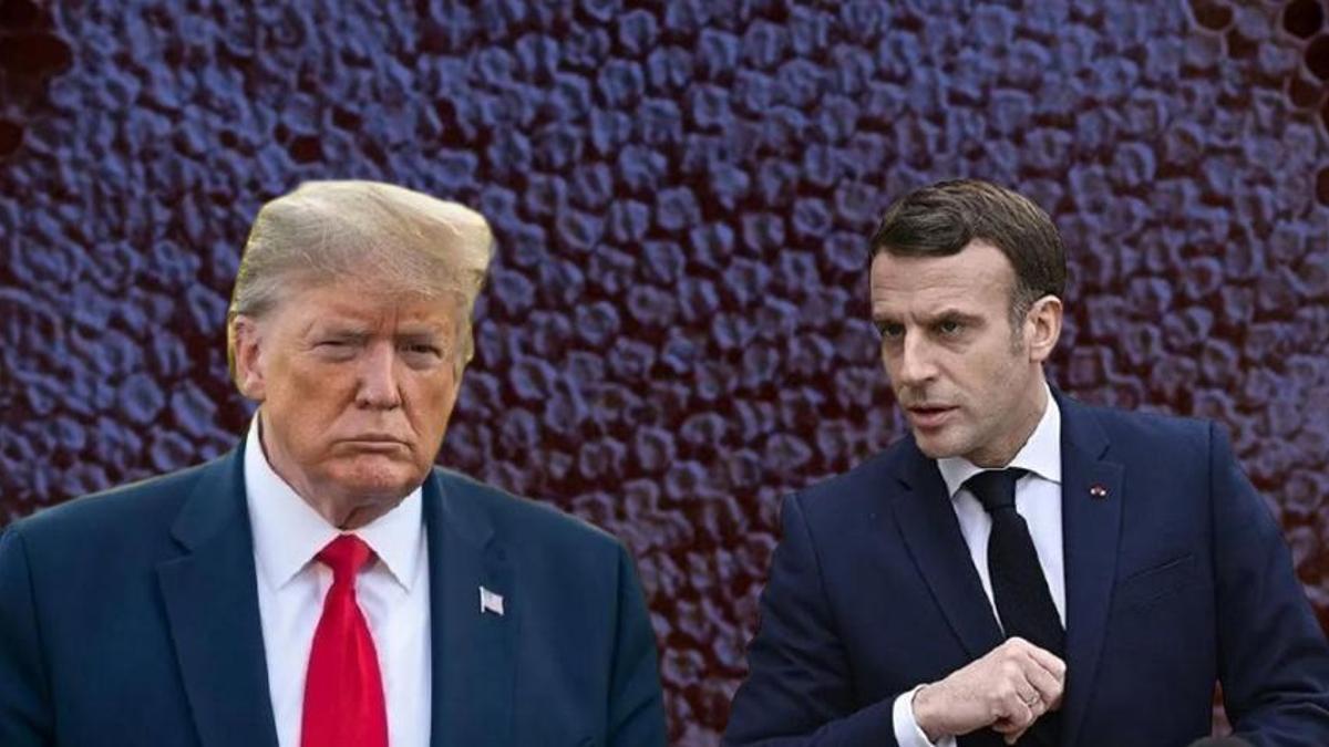 Trump ve Macron'a Bitlis'ten gitti! 2.100 metre yükseklikte üretim patladı, hasat zengin edecek