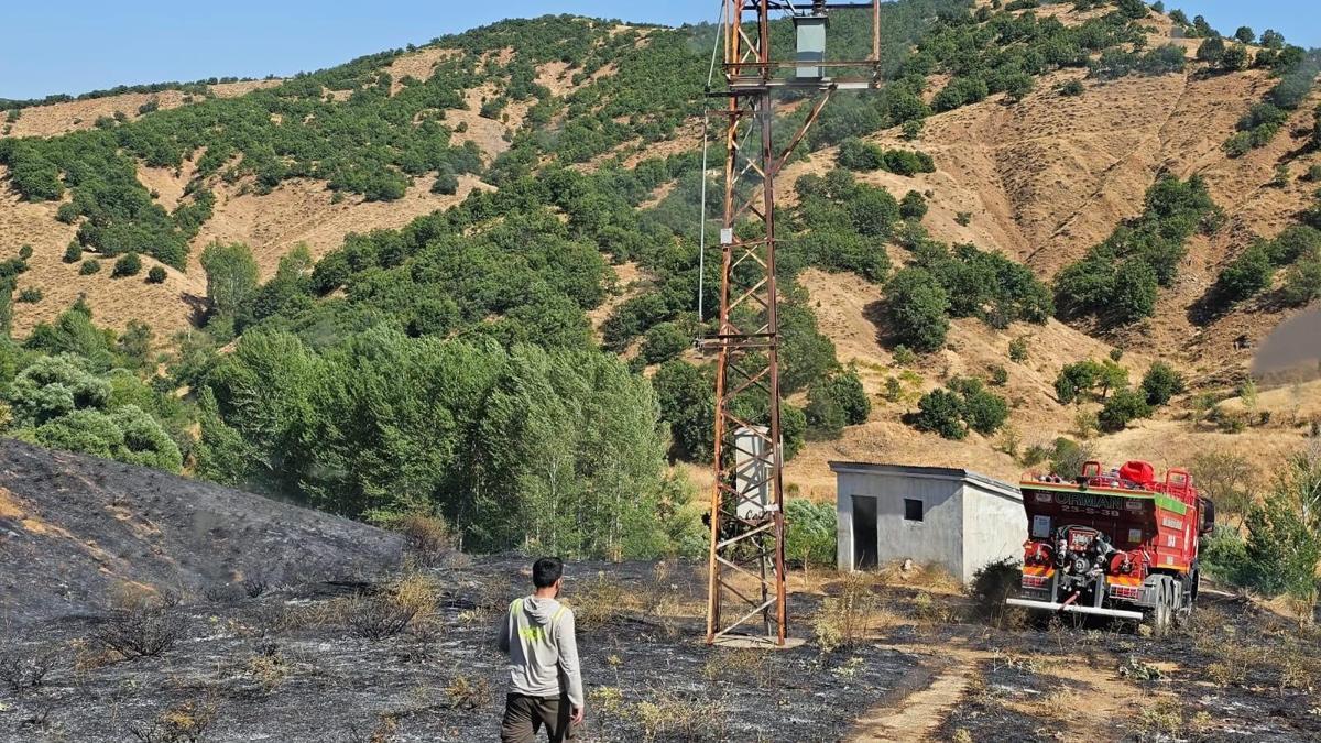 Bingöl’de ormanlık alanda çıkan örtü yangını söndürüldü