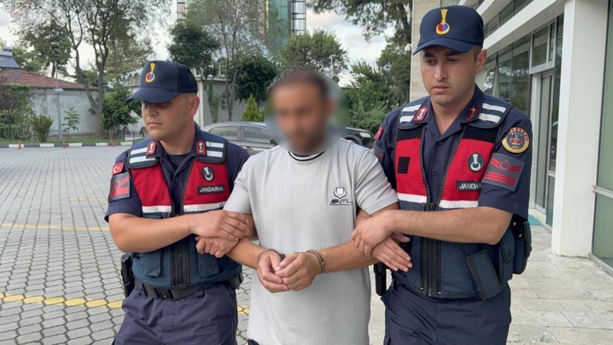 Ayva dalı cinayetinde akıllara gelmeyecek gelişme! 'İneğin memesi' davanın seyrini değiştirecek