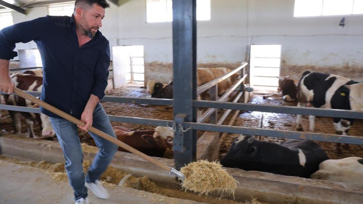 Müşterisinin elektrik işini yaparken hayvancılığa başladı! Hayatı tamamen değişti, 200 hayvanla dev çiftlik sahibi oldu!