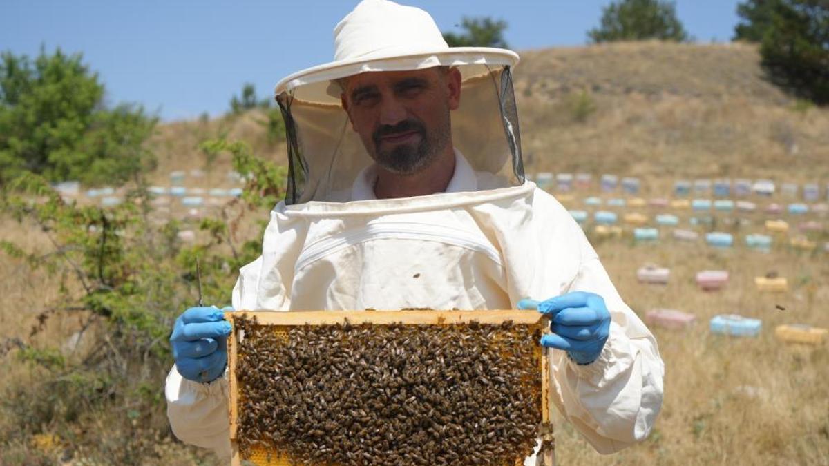 200 tonun üzerinde çiçek balı hasat edildi! İlkbahar yağışları verimi düşürdü