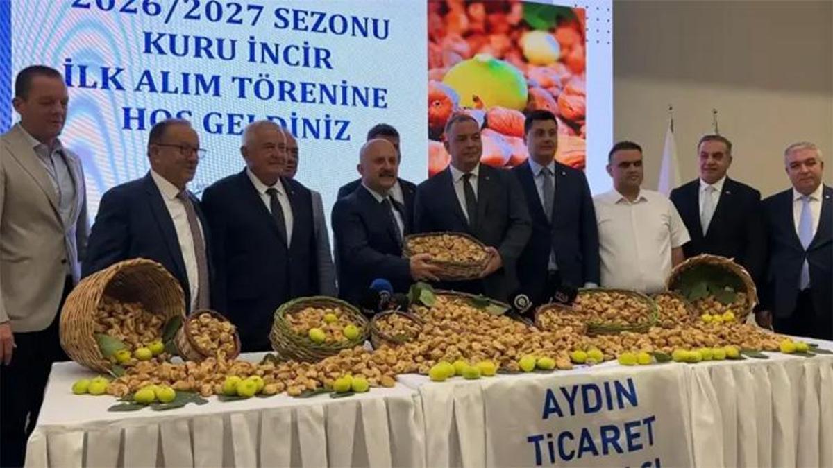 Aydın'da incir sezonu başladı: Yeni sezonun ilk kuru inciri 850 TL'den alıcı buldu!