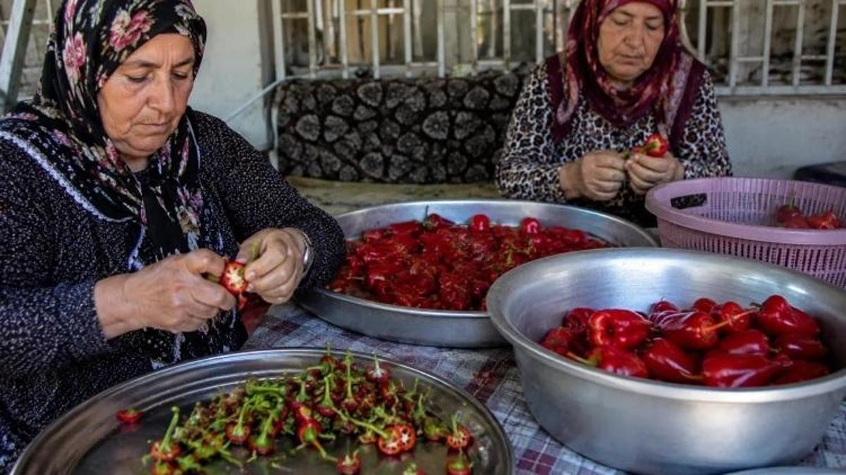 Şanlıurfa'da isot fiyatları: Evde yapmak daha ucuza mı geliyor?