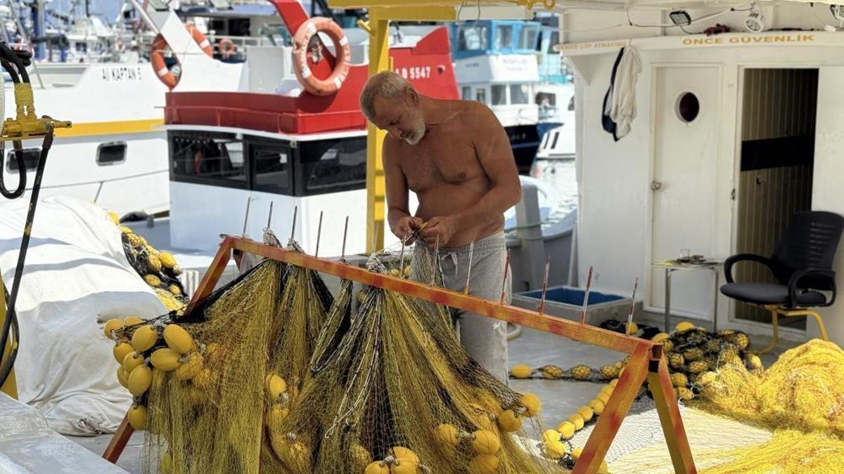 Balıkçılardan yüz güldüren sezon müjdesi: Bu sene palamut bol, fiyatı çok ucuz olacak!