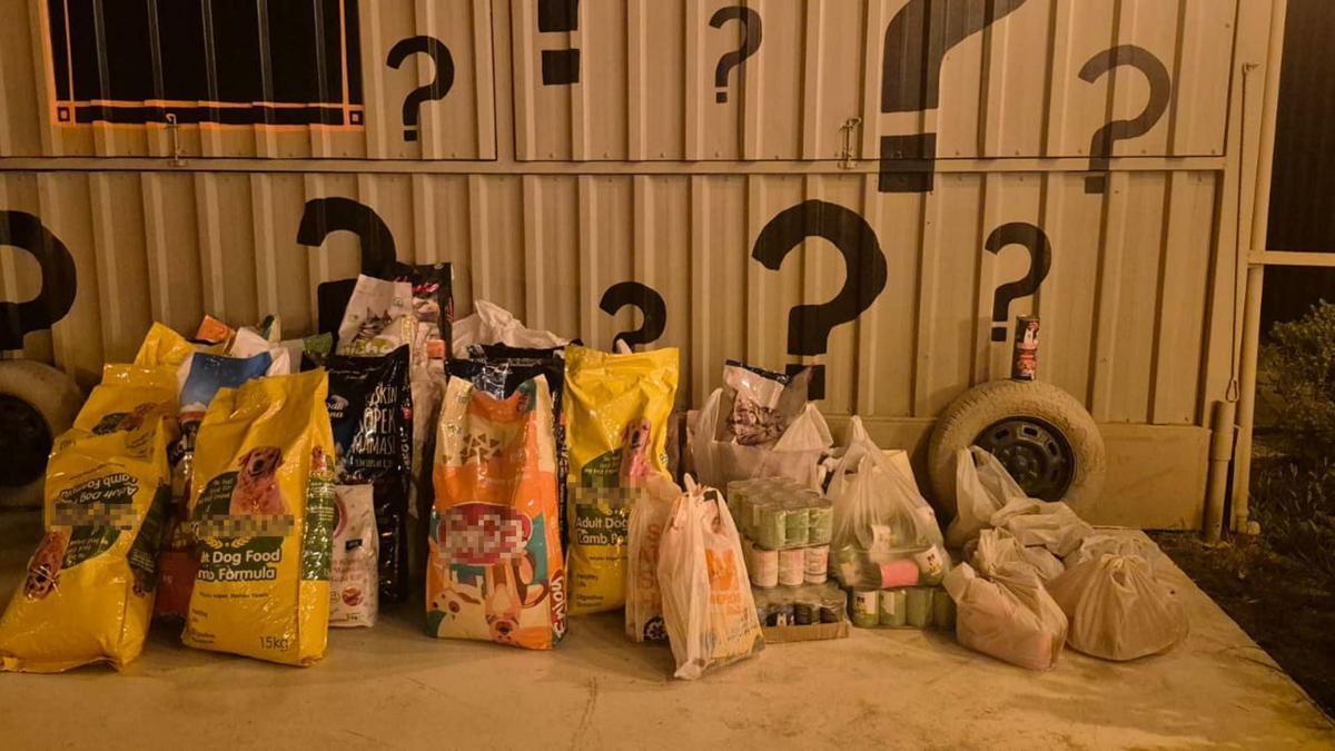 İzmir'de 'Dünya Köpek Günü’nde patili dostlar için 600 kilo mama toplandı