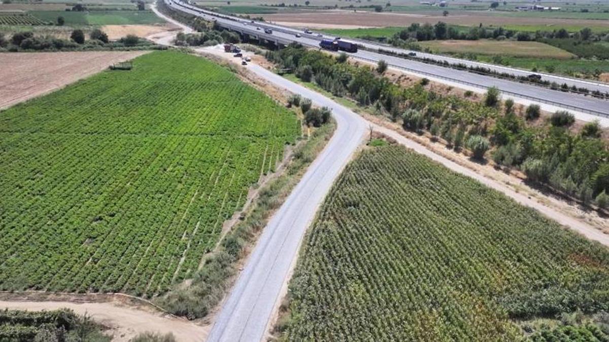 Manisa'da çiftçinin kabusu oldu! Artık sona eriyor