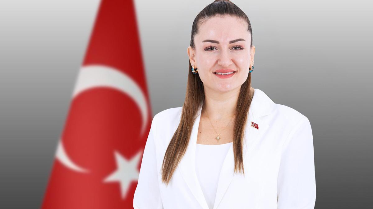 Başkan Vekili Özdemir'den 30 Ağustos mesajı