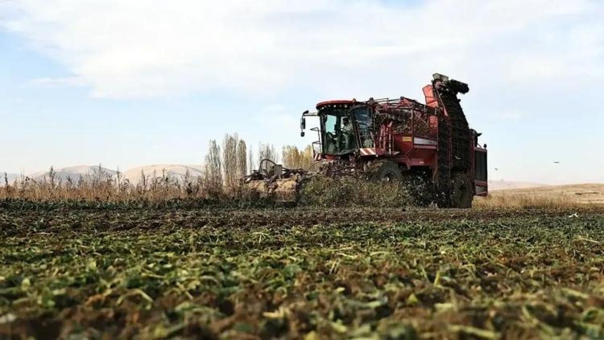 Çiftçinin beklediği rakam belli oldu: Şeker pancarında kritik açıklama bekleniyor