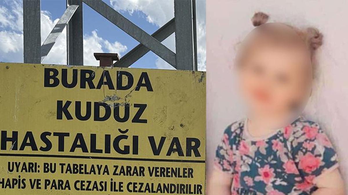 Diyarbakır'da kuduz ölümü! 3 yaşındaki çocuk hayatını kaybetti