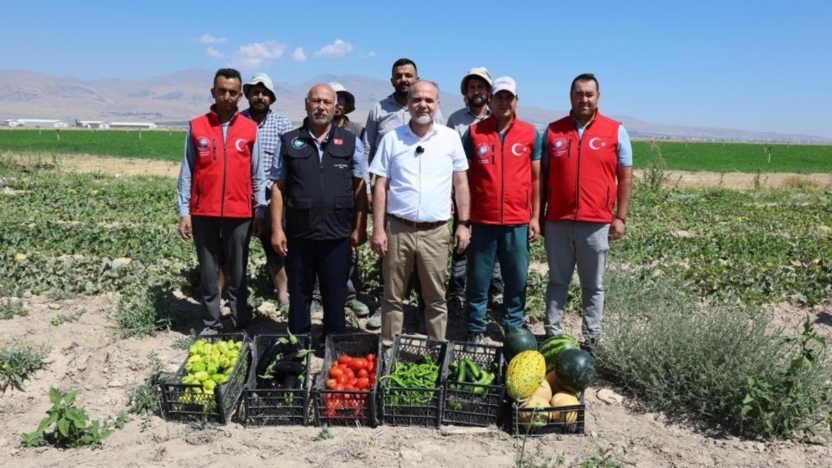 Niğde'de 51 bin fidenin karşılığı alındı: NOHÜ'de hasat yapıldı