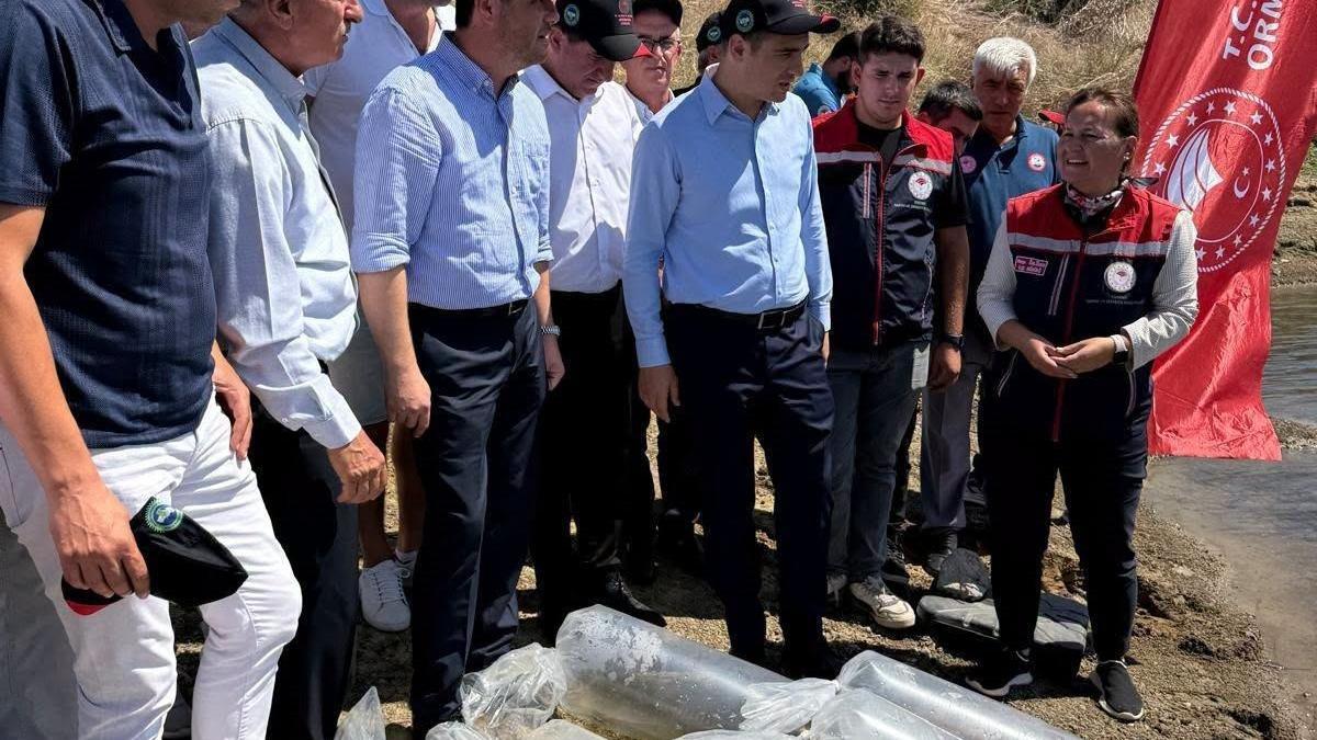 İpsala’da gölete 2 bin yavru sazan balığı bırakıldı