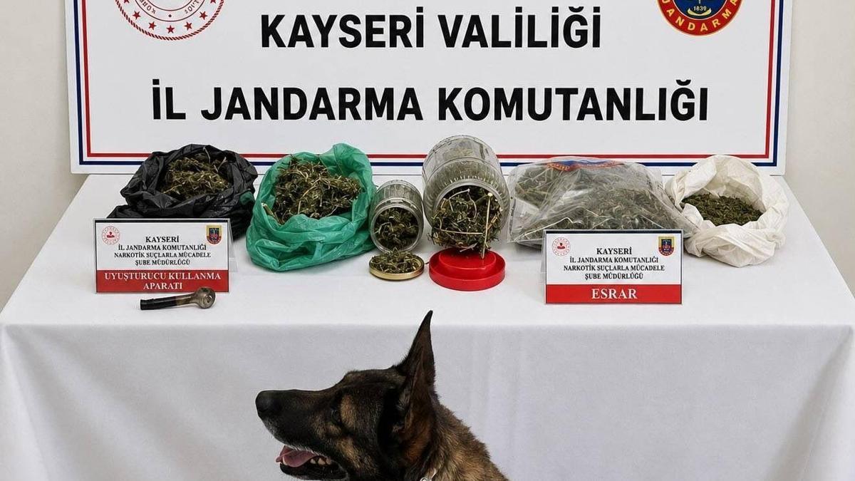 Kayseri'de 1,2 kilo esrar ele geçirildi; 1 gözaltı
