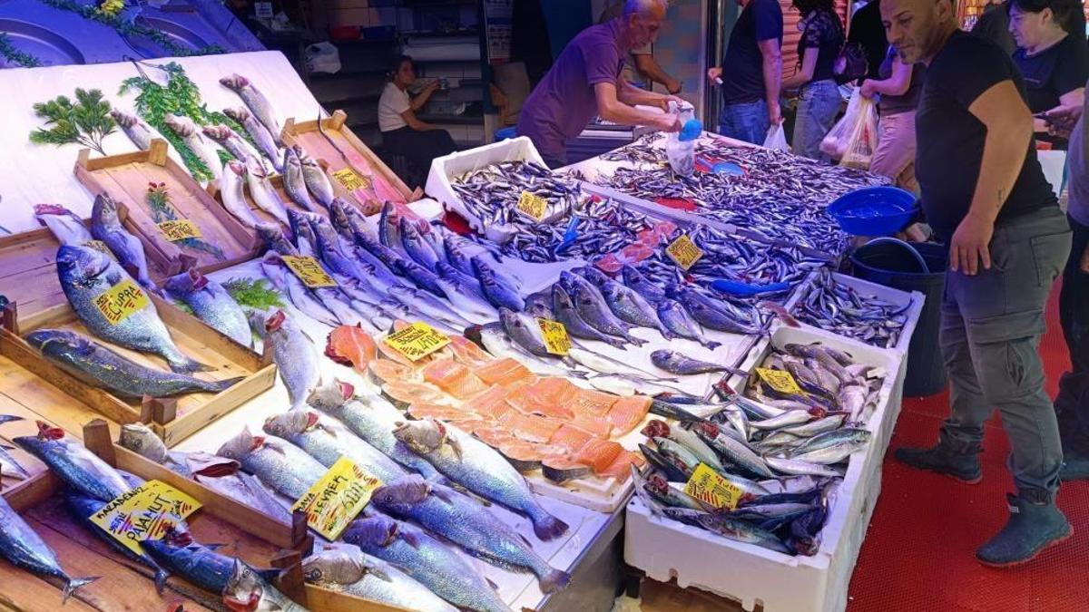 Balık sezonu ucuzlukla başladı! Bu balığın kilosu 450 liradan 150 liraya düştü