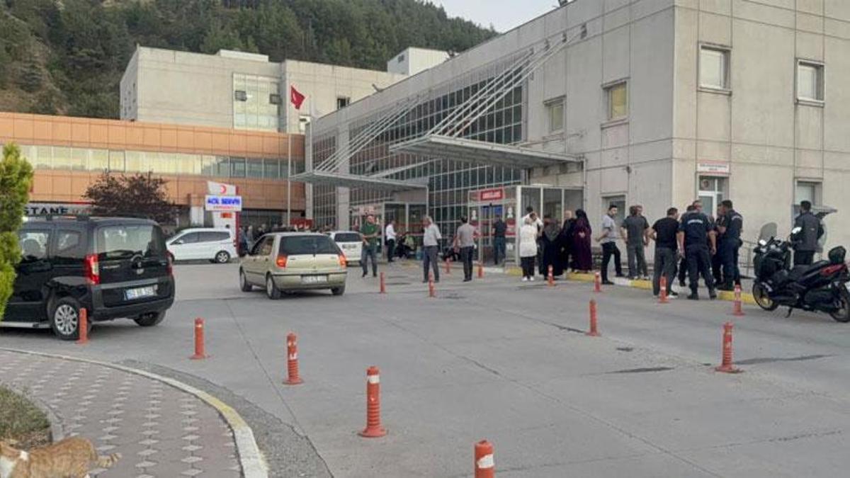 Hayvan otlatma meselesinde silahlı kavga çıktı 2 kişi yaralandı