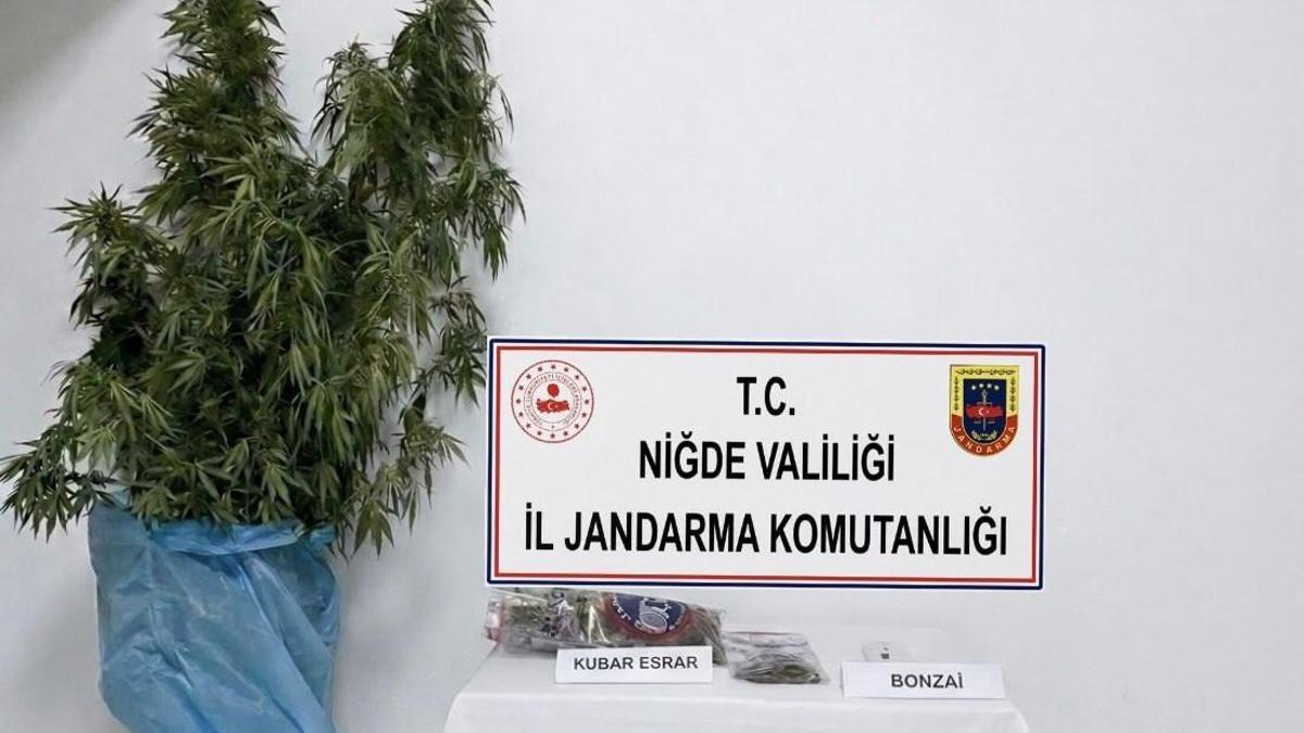 Bor’da uyuşturucu operasyonu; 1 gözaltı