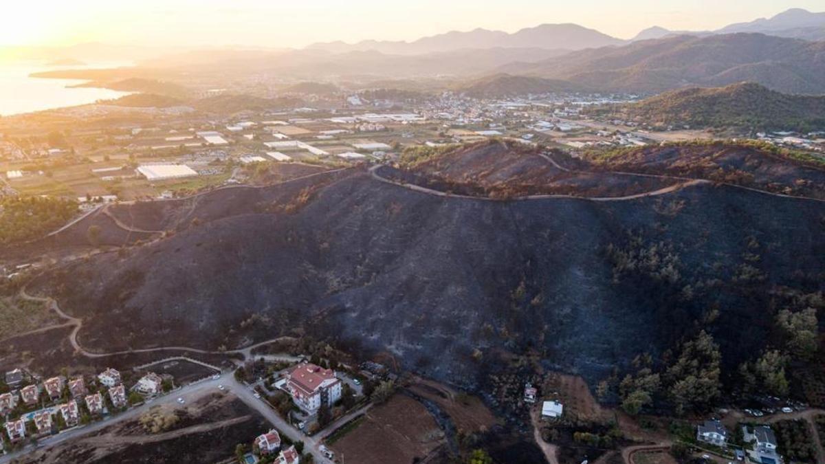 Muğla'da yıllarca silinmeyecek manzara! Yangından geriye kaldı
