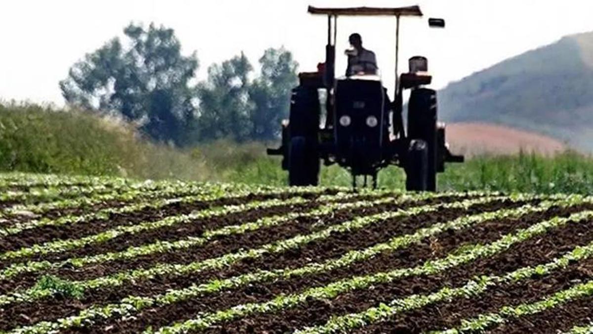 Adana'da çiftçiler için önemli karar! O şart kaldırıldı: 3 yıl üst üste eken de yararlanacak