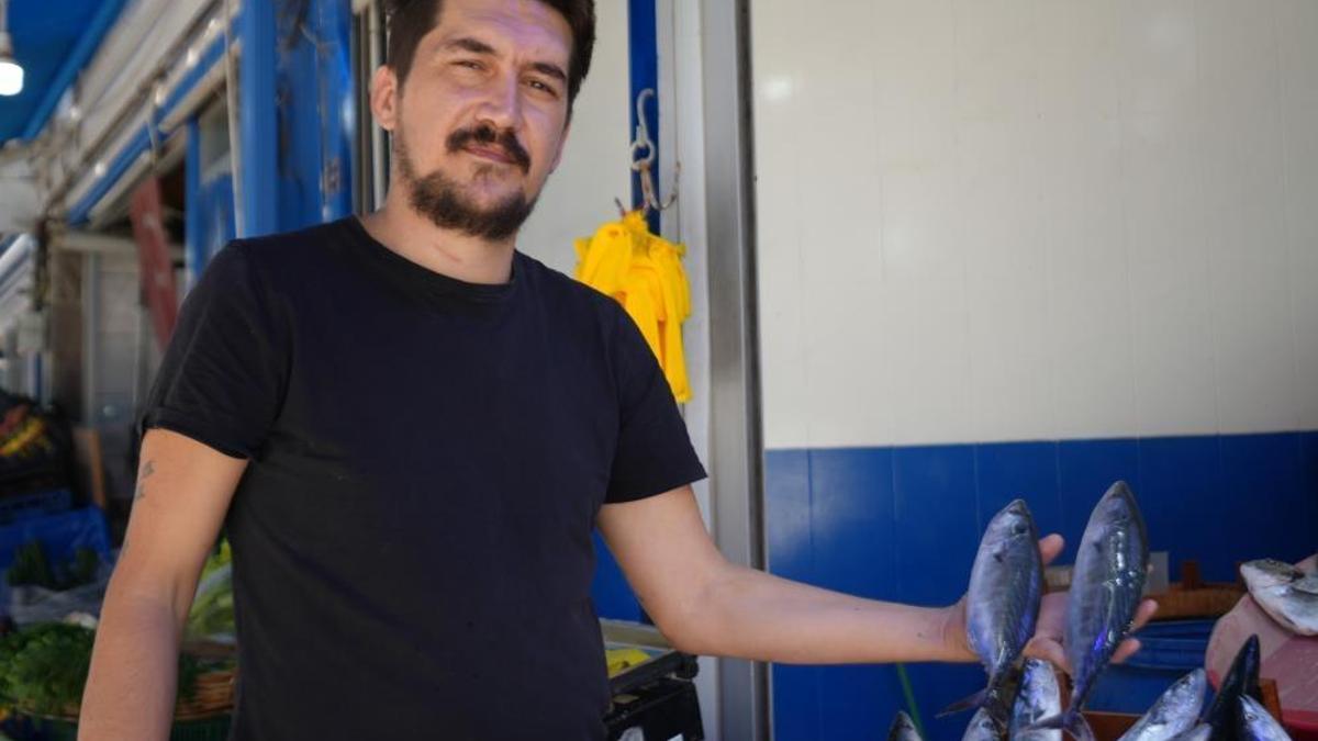 Bu sene vatandaşlar palamuda doyacak! 150 TL'den s…
