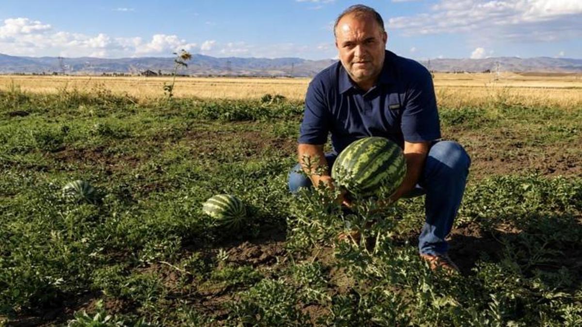 Ağrı’da alternatif tarım yüzleri güldürdü! Bu ürünleri eken çiftçinin kazancı katlandı