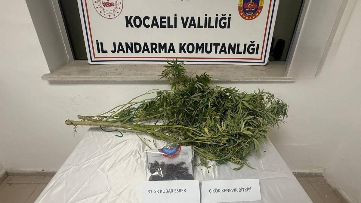 Uyuşturucu operasyonunda 2 gözaltı