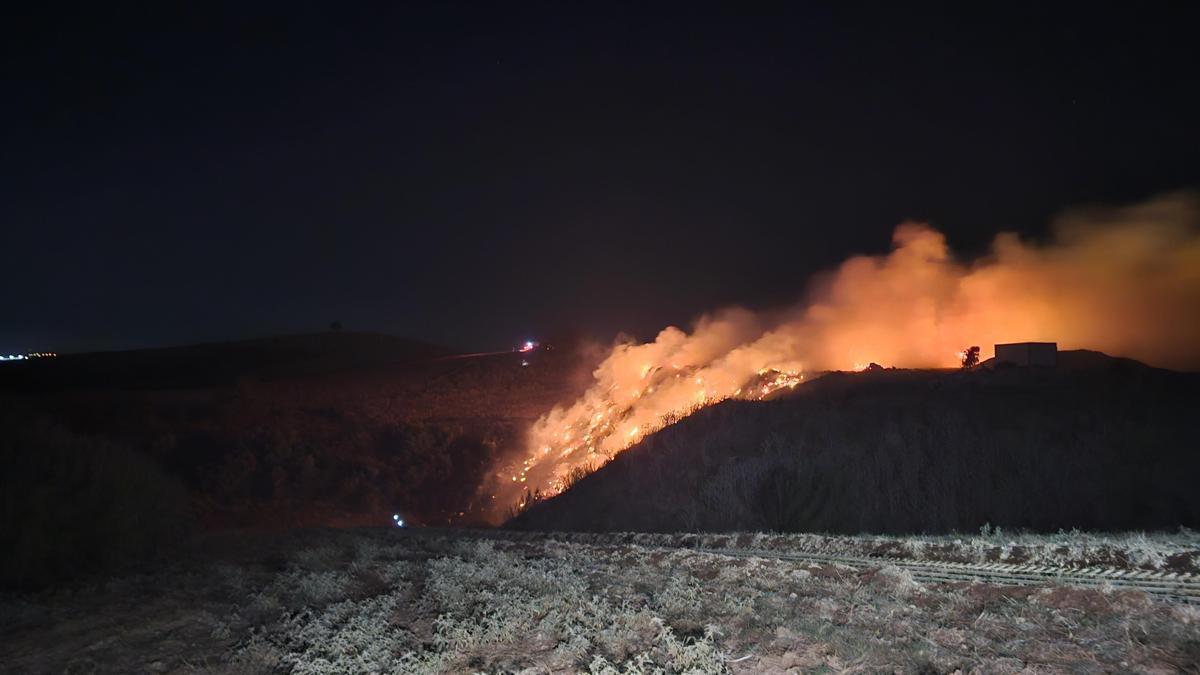 Adana'da çöplük alanda yangın