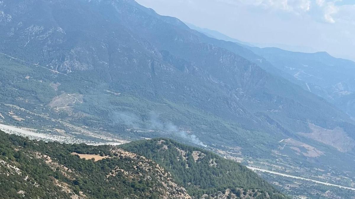 Muğla'da çıkan orman yangını söndürüldü