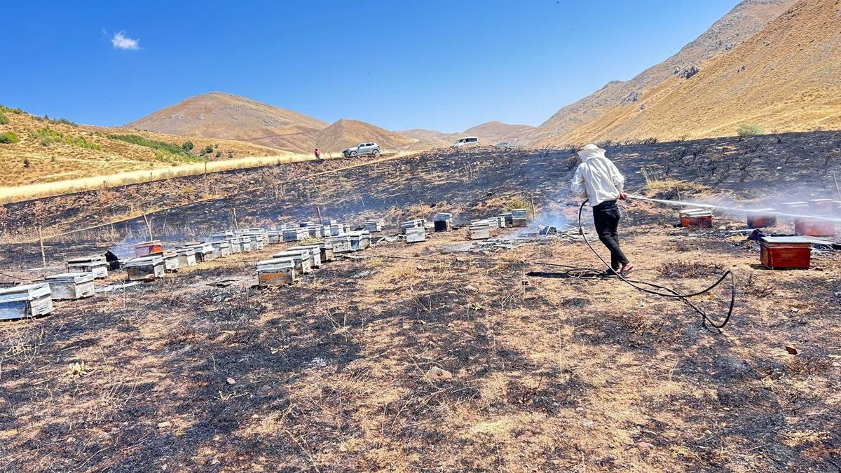 Yangında 150 arı kovanı küle döndü
