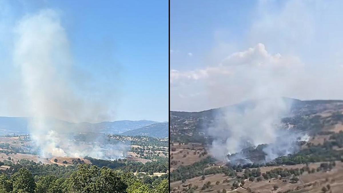 Bursa'da orman yangını!