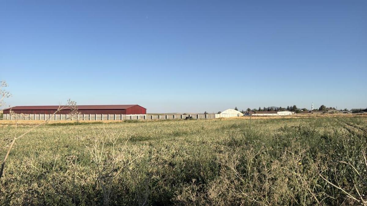 Eskişehir'de tarım arazisinde mühimmat bulundu! Kontrollü şekilde imha edilecek