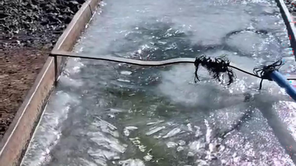 Kars’ta eyül ayında sular buz tuttu