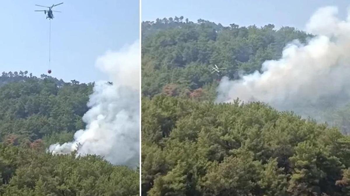 Adana'da orman yangını! Havadan ve karadan müdahale ediliyor