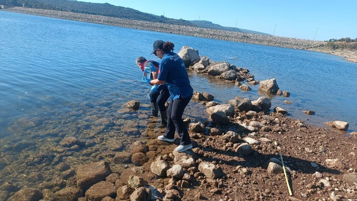 Çanakkale'de Ayvacık Barajı'ndaki toplu balık ölümleriyle ilgili inceleme başlatıldı