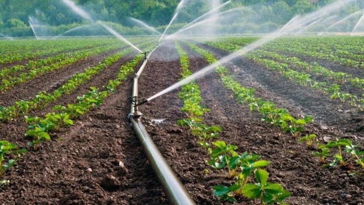 Antalya'da dönüştürüldü: Yüzde 75 tasarruf edilince 700 kilometrelik destek verildi
