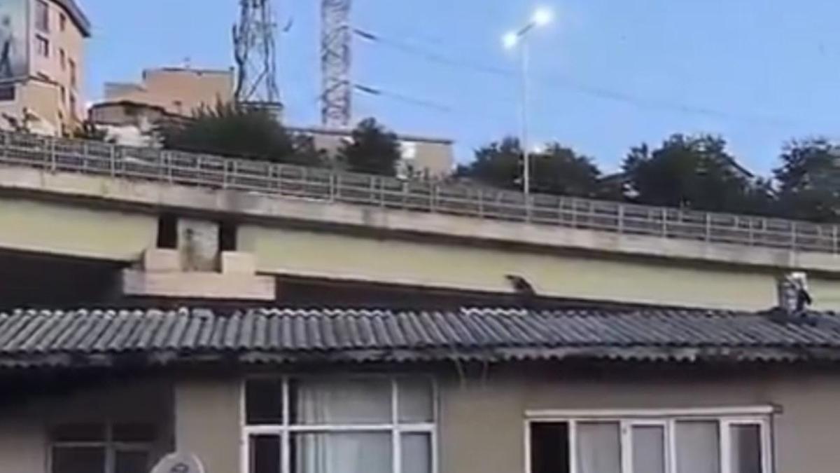 Kağıthane’de viyadük altında gördüğü kişiden şüphelenip canlı yayın yaptı; asılsız ihbardan ceza yazıldı