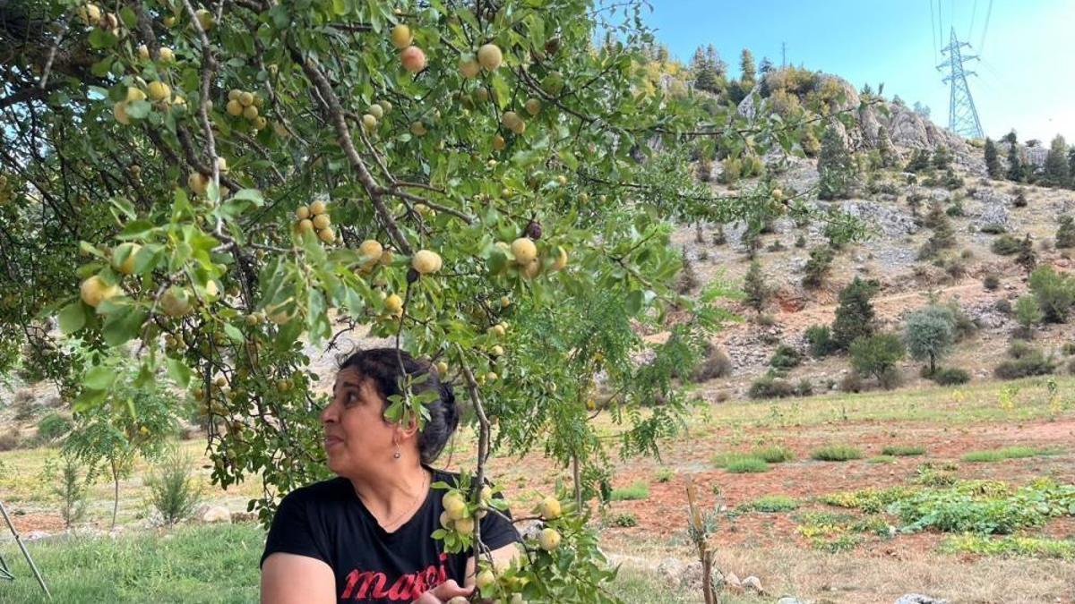 10 kilo üründen 1 kilo ekşi çıkıyor, kilogramı 500 liradan satılıyor