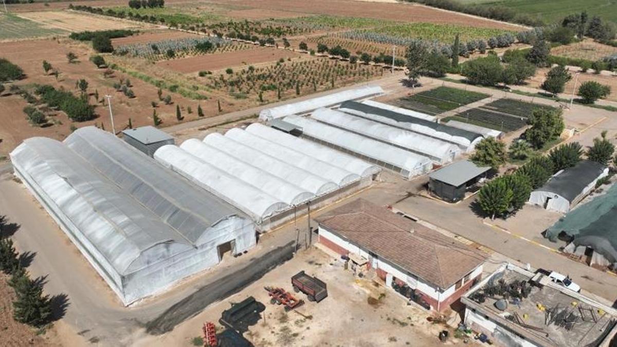 Şanlıurfa’da düğmeye basıldı! 500 bin tane üretilecek