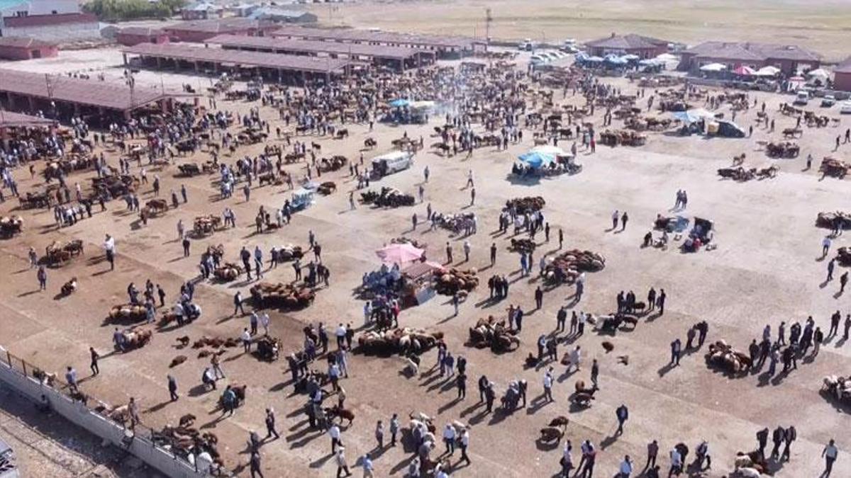 Ağrı Hayvan Borsası şap hastalığı nedeniyle 30 gün süreyle kapatıldı