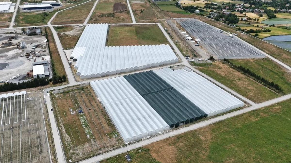 Samsun'da giderek büyüyor: Doluluk yüzde 85'e ulaştı