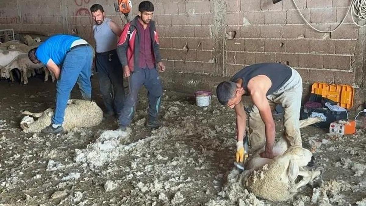 Bursa'nın serveti boş arazilere atılıyor! Yaptığı iş için tesis çağrısı yaptı