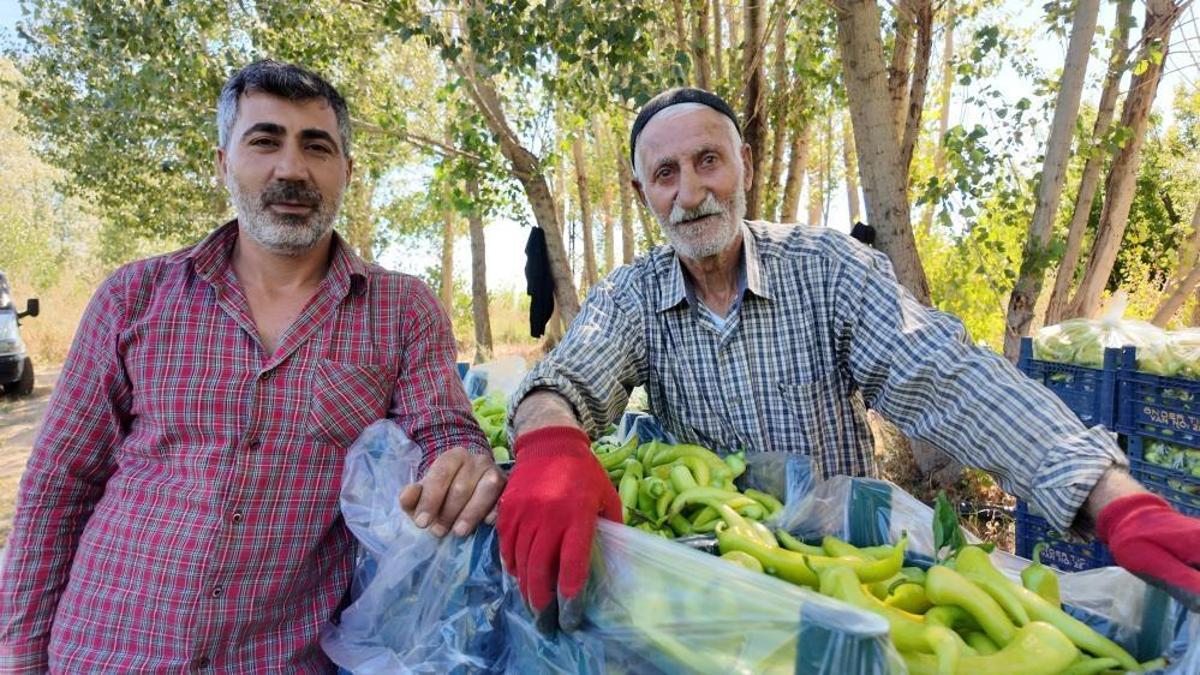 86 yaşındaki adam yetiştirdiği biberlerle Van'ın ihtiyacını karşılıyor